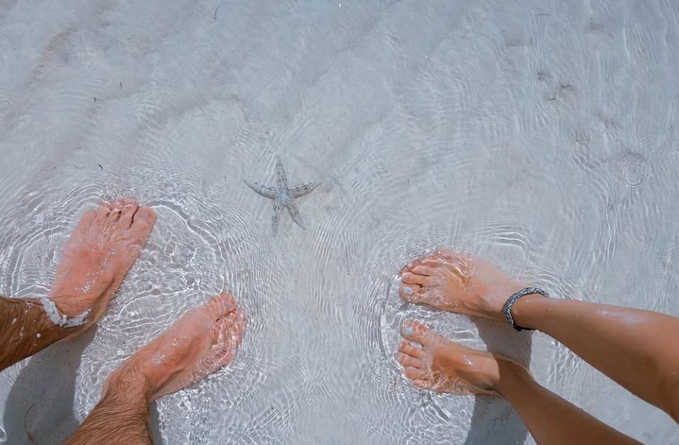 Perchè i pesci ti mordono i piedi?